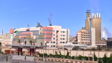 “أبو-قير-للأسمدة”-تفوض-“mckinsey”-لاختيار-استشاري-لوضع-الخطة-الاستراتيجية