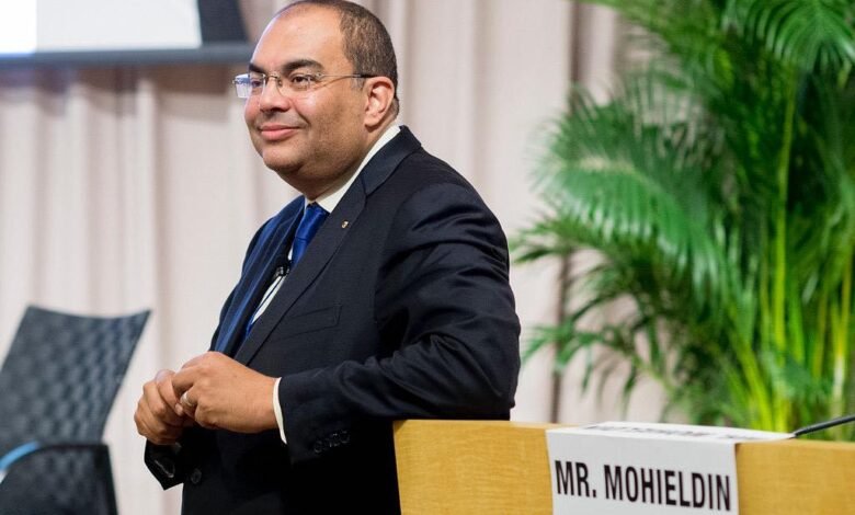 محيي-الدين:-إفريقيا-بحاجة-إلى-155-مليار-دولار-لتمويل-الخدمات-حتى-2035