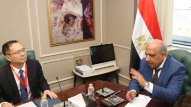 “الكهرباء”-تبحث-مع-“xd”-الصينية-خطط-توسعها-في-مصر