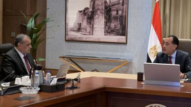 17-شركة-تابعة-لـ”الإنتاج-الحربي”-تحقق-أرباحًا-بـ2024-2025