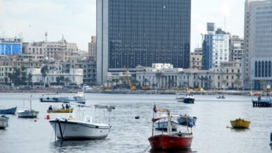 الحكومة-تستكمل-إجراءات-حل-نزاعات-مبنى-قصر-القطن-في-“الإسكندرية”