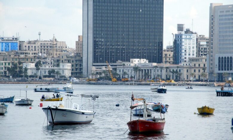 الحكومة-تستكمل-إجراءات-حل-نزاعات-مبنى-قصر-القطن-في-“الإسكندرية”