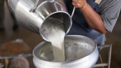 “سلامة-الغذاء”-تبحث-تعزيز-التعاون-مع-مجلس-تصدير-منتجات-الألبان