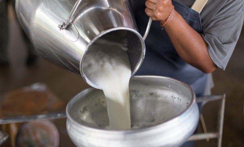 “سلامة-الغذاء”-تبحث-تعزيز-التعاون-مع-مجلس-تصدير-منتجات-الألبان