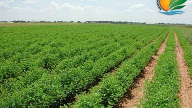 “نهر-الخير”-توقع-اتفاقية-بـ15-مليون-جنيه-مع-وزارة-الزراعة