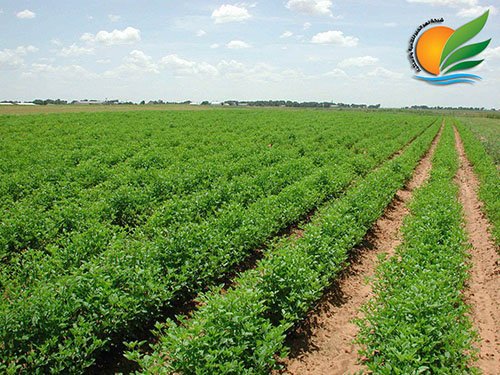 “نهر-الخير”-توقع-اتفاقية-بـ15-مليون-جنيه-مع-وزارة-الزراعة