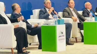 “هيبة”:-الاستثمارات-الأجنبية-فى-مصر-ستتضاعف-خلال-العامين-المقبلين