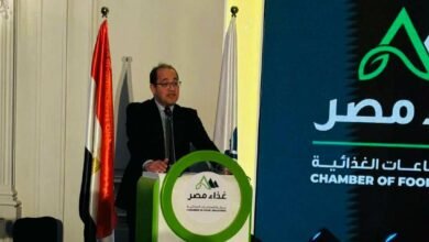 “المالية”-تستهدف-زيادة-دعم-صناعات-“القيمة-المضافة”-العام-المالى-2026-2027