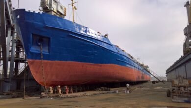 إبراهيم-الدسوقى:-توطين-الصلب-البحرى-يدعم-صناعة-السفن-ويخفض-تكلفة-الإنتاج