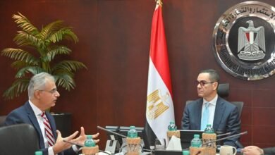 “باور-إيدسون”-الأمريكية-تدرس-تصنيع-البطاريات-والمحولات-الكهربائية-فى-مصر