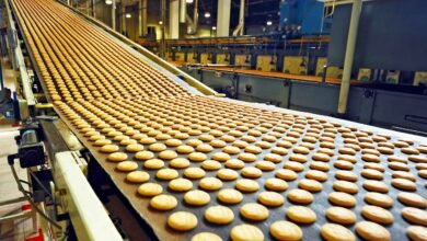 «سماش»-تحقق-200-مليون-جنيه-مبيعات-خلال-أول-11-شهرًا-من-العام