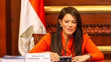 وزيرة-التخطيط:-17-مليار-دولار-تمويلات-ميسرة-للقطاع-الخاص-منذ-2020