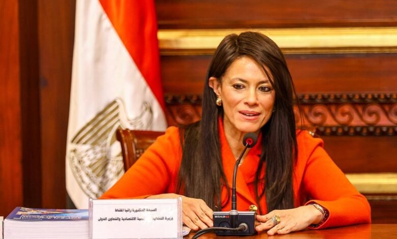 وزيرة-التخطيط:-17-مليار-دولار-تمويلات-ميسرة-للقطاع-الخاص-منذ-2020