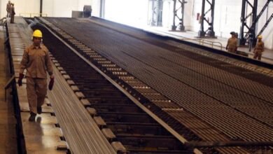 هل-يعيد-«البيلت»-تشكيل-خريطة-صناعة-الحديد-في-مصر؟