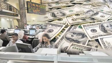 استقرار-سعر-الدولار-أمام-الجنيه-بالبنوك