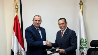 “الريف-المصري”-تستثمر-نحو-25-مليار-جنيه-لتوصيل-الكهرباء-إلى-مليون-فدان