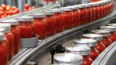 صادرات-الصناعات-الغذائية-المصرية-تتجاوز-6.3-مليار-دولار-بنهاية-نوفمبر