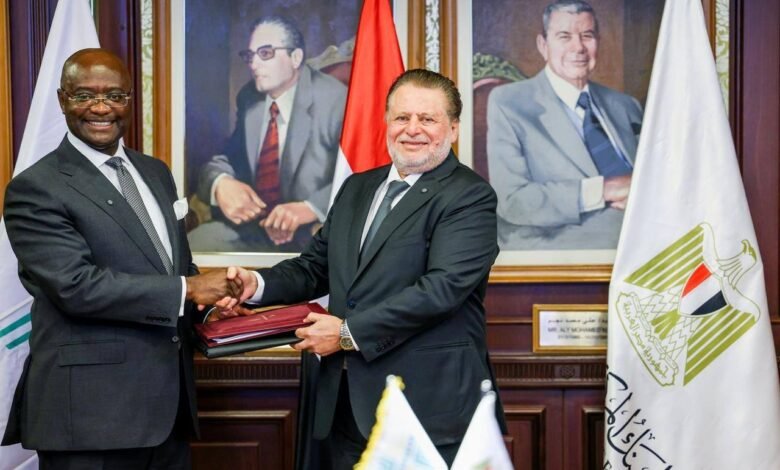 “المركزي”-يتعاون-مع-“أفريكسيم”-لإنشاء-بنك-للذهب-في-مصر