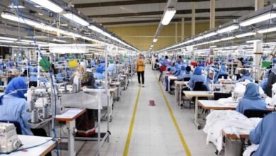 وزير-الصناعة-يوجه-باشتراط-دمج-الغزل-والنسيج-مع-مصانع-الملابس-الجاهزة