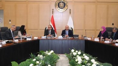 الحكومة-تسعى-لدعم-وتعزيز-صناعة-الملابس-والمنسوجات-في-مصر