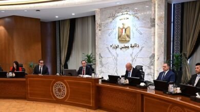 تتبع-رئيس-الوزراء.-إنشاء-“الهيئة-العامة-لمنطقة-جرجوب-الاقتصادية-الخاصة”