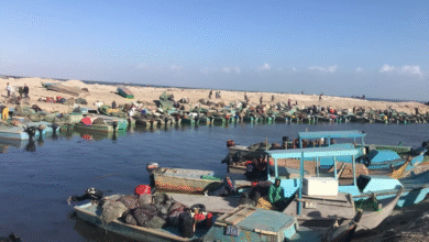 إغلاق-بحيرة-البردويل-4-أشهر-لاستكمال-أعمال-التطوير