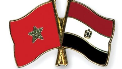 5-شركات-مصرية-تدرس-الاستثمار-في-المغرب-بالشراكة-مع-مستثمرين-خليجيين