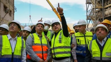 وزير-قطاع-الأعمال:-تطوير-شركات-الأسمدة-أولوية-لدعم-الأمن-الغذائي-وزيادة-الصادرات