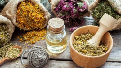 «كالانديولا-هيربس»-تستثمر-45-مليون-جنيه-للتوسع-فى-القطاع-الزراعي