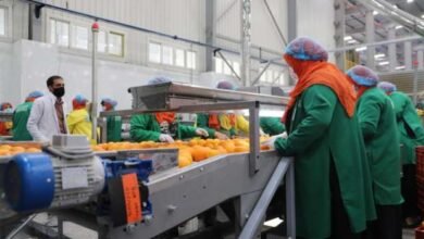 «العلاقى»-تستثمر-15-مليون-دولار-فى-مصنع-لمعدات-غربلة-وتعبئة-المواد-الغذائية