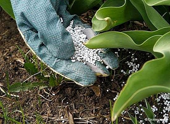 عمومية-“فيركيم”-تُقر-تجديد-مدة-الشركة-25-عامًا