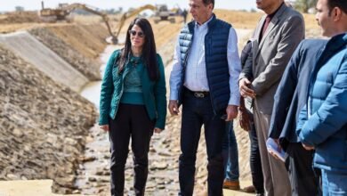 14.6-مليار-جنيه-حجم-الاستثمارات-المُوجهة-لأسوان-خلال-العام-المالي-2026/25