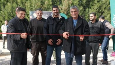 «كايرو-ثري-إيه»-تستثمر-442-مليون-جنيه-فى-مزرعة-توت-بوادى-النطرون 