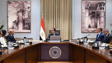 مصر-تسعى-لتعظيم-الاستفادة-من-الخامات-التعدينية-والمحجرية