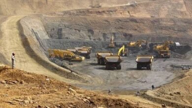 جمعية-خبراء-الضرائب:-الحكومة-وضعت-إستراتيجية-شاملة-للنهوض-بقطاع-التعدين
