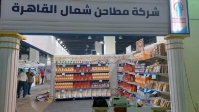 أرباح-“مطاحن-شمال-القاهرة”-تتراجع-30.3%-في-الربع-الأول