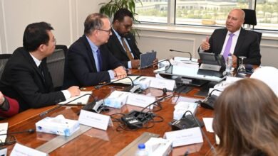 وزير-الصناعة-يبحث-خطط-“إيليت-سولار”-للتوسع-في-مصر