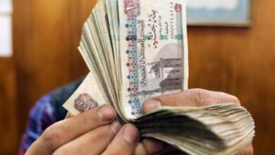 “السعودية-المصرية”-تقترح-توزيع-1.5-جنيه-للسهم