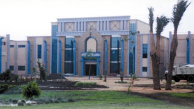 “مينا-فارم”-تتقدم-بمستندات-تخفيض-رأسمالها-عبر-إعدام-أسهم-الخزينة