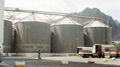 أرباح-“العامة-للصوامع”-ترتفع-13%-إلى-153-مليون-جنيه-في-النصف-الأول