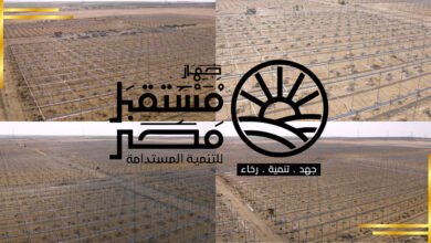 تخصيص-أراضي-في-بعض-المحافظات-لصالح-جهاز-“مستقبل-مصر-للتنمية”