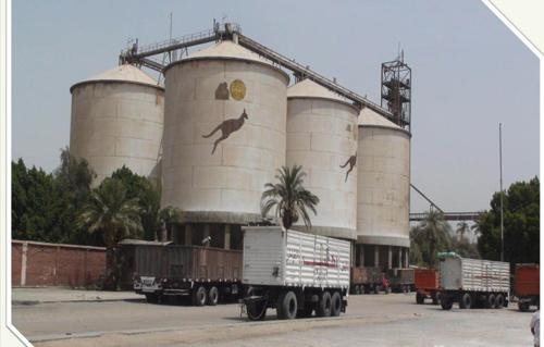 “مطاحن-شرق-الدلتا”-تربح-89.3-مليون-جنيه-في-النصف-الأول