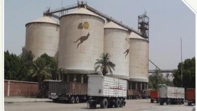 “مطاحن-مصر-العليا”-تطرح-مزاد-علني-لبيع-72-وحدة-سكنية