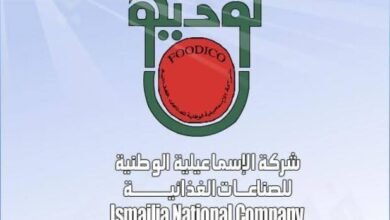 أرباح-“فوديكو”-تتراجع-25%-خلال-2025