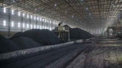 “إيجيبت-أنود”-تستعد-للوصول-إلى-طاقتها-الإنتاجية-القصوى-الشهر-المقبل