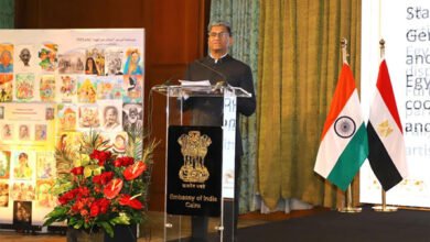 5-مليارات-دولار-إجمالى-قيمة-الاستثمارات-الهندية-فى-مصر-بنهاية-2025