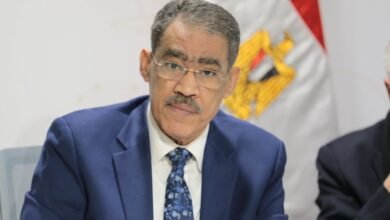 السيرة-الذاتية-لضياء-رشوان-وزير-الدولة-للإعلام