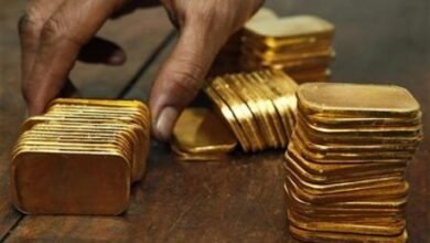 140-مليون-جنيه-حصيلة-مزاد-“البورصة-السلعية”-لمضبوطات-“الدمغة-والموازين”