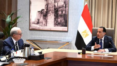 الحكومة-تدرس-نقل-40-شركة-إلى-الصندوق-السيادي-وقيد-20-في-البورصة