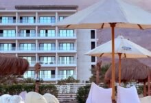 «نيو-جيرسي-للتطوير»-تكشف-عن-الموقف-التنفيذي-لمشروع-“jura-sokhna-red-sea”-انطلاقًا-من-التزامها-تجاه-عملائها